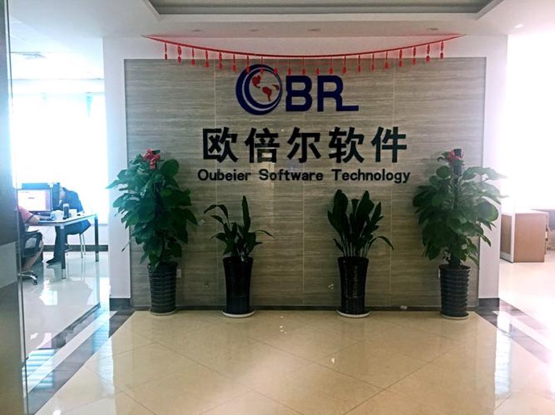 构建专属软件：定制开发引领企业新篇章